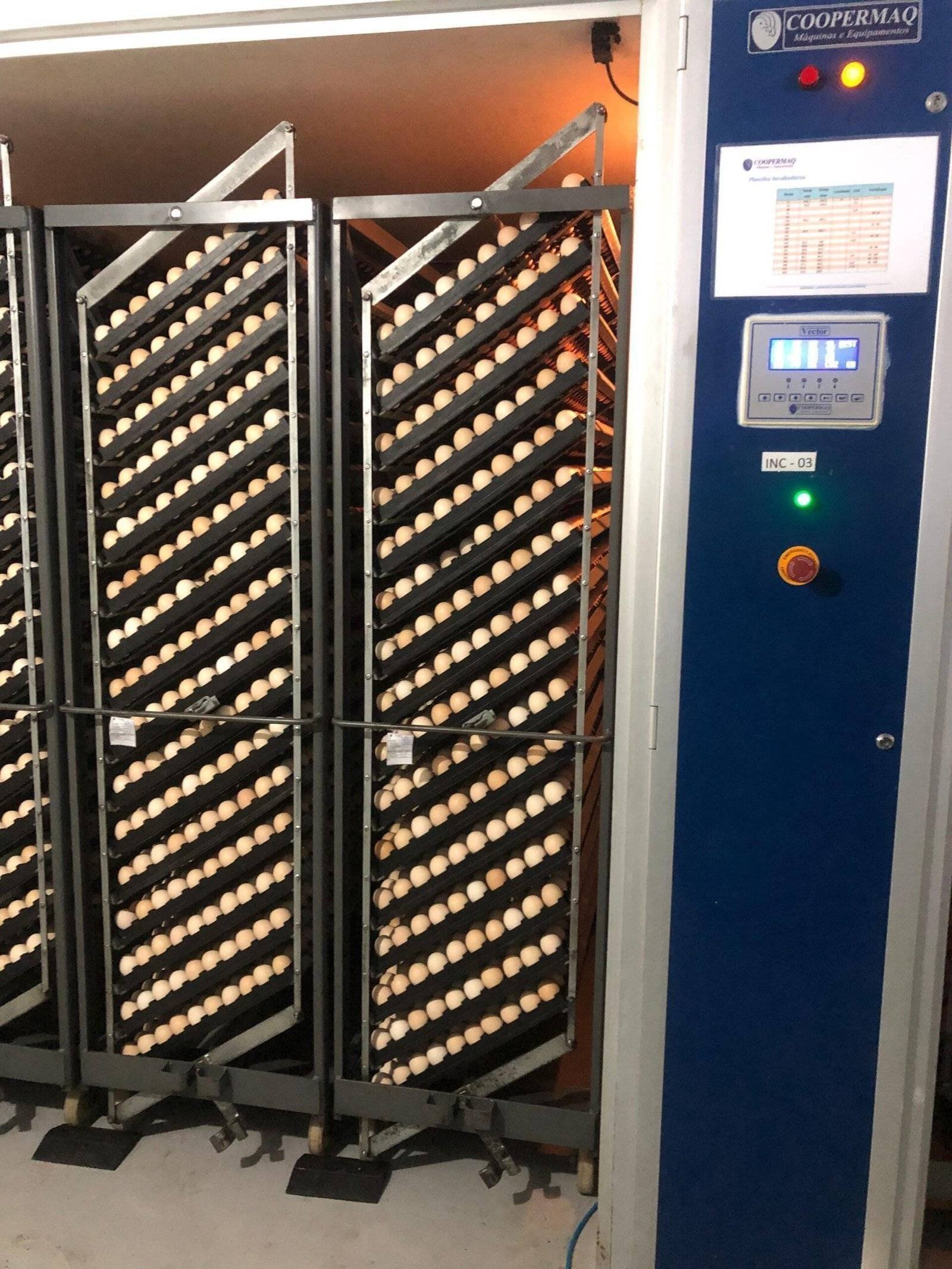 Imagem do WhatsApp de 2024-09-17 à(s) 16.17.54_490e00f6